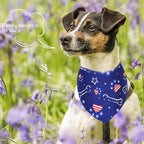 10PCS 4th of July Dog Bandanas American Flag Stars and Stripes Patriotic Balloons Pattern for Medium Boys Girls Independence Day Party Grooming Accessories