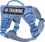 No-Pull Dog Harness for XS Dogs, Anti-Escape Easy Walking Reflective Adjustable Lightweight Dog Vest with Breathable Oxford Material, Easy On/Off with Neck Buckle, Blue XS