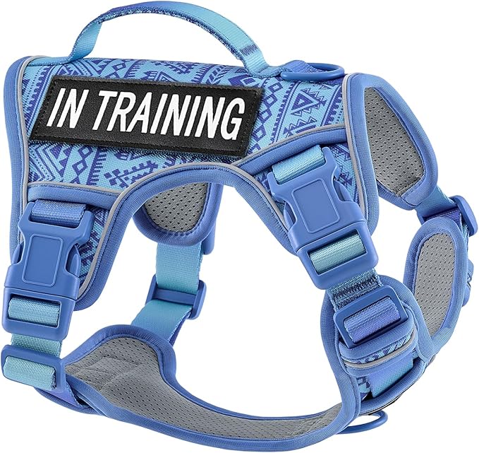 No-Pull Dog Harness for XS Dogs, Anti-Escape Easy Walking Reflective Adjustable Lightweight Dog Vest with Breathable Oxford Material, Easy On/Off with Neck Buckle, Blue XS
