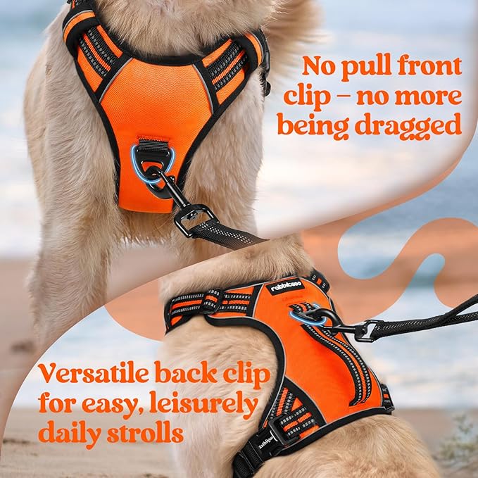 rabbitgoo Dog Harness for Large Dogs, No Pull Pet Harness with Soft Padded Handle, Adjustable Reflective Vest with 3 Buckles, Easy Walking Harness with 2 Leash Clips, Orange, L