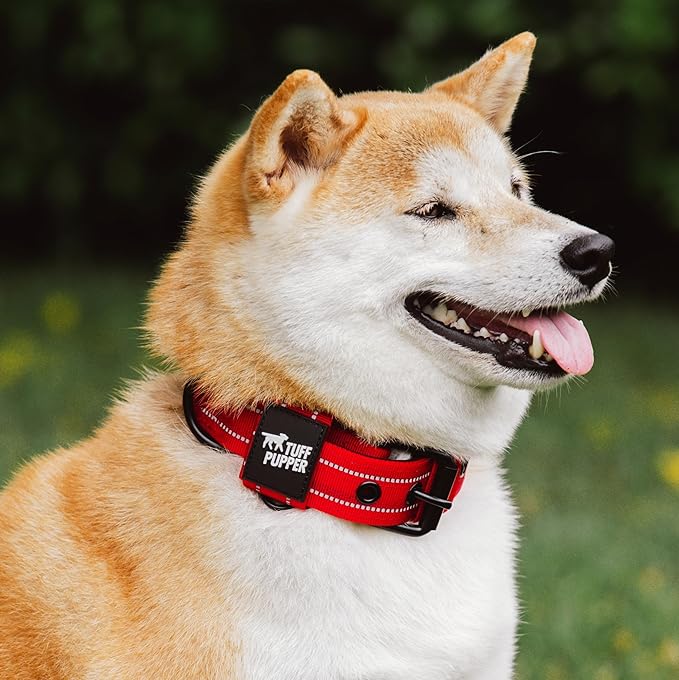Tuff Pupper Heavy Duty Tactical Dog Collar | 1.5" Wide Ballistic Nylon | Reflective Stitching | Integrated ID Tag Holder | Stainless Steel Buckle | Padded Lining | Medium & Large Dogs (Red, Medium)