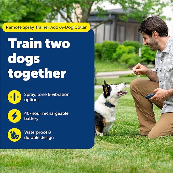 PetSafe Remote-Spray Trainer Add-A-Dog Collar - Waterproof & Rechargeable Spray Training Collar - Redirects Attention & Reinforces Positive Behavior - for Dogs 8 lb+
