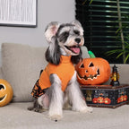 CuteBone Halloween Dog Sweater Dress Trick or Treat Knit Turtleneck Puppy Sweater with Bowtie Harness Hole Pullover Winter Dress for Small Medium Dogs and Cat Pet Apparel