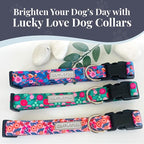 Lucky Love Dog - Adjustable Dog Collar with Easy Click Buckle for Small Ones, Durable, & Comfortable for Male & Female Dogs, Pet Collar for Puppies & Adult Dogs - Rosie, XS