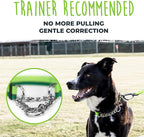 Mighty Paw Martingale Dog Collar 2.0 | Trainer Approved Limited Slip Collar with Stainless Steel Chain & Heavy Duty Buckle - Modified Cinch for Gentle & Effective Pet Training - Large, Green