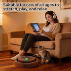 Collapsible Round Cat Scratcher Lounge Bed,Accordion Cardboard Scratching Board for Indoor Large Cats, Kitten Bed & Play Toy,14.2 inch