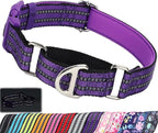 Martingale Collar for Dogs - Reflective Nylon with Padded Comfort & Quick Release Buckle - No Slip Choke Heavy Duty Collar for Safe Training, Walking & Nighttime Use Purple L