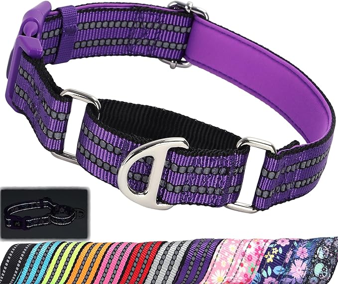 Martingale Collar for Dogs - Reflective Nylon with Padded Comfort & Quick Release Buckle - No Slip Choke Heavy Duty Collar for Safe Training, Walking & Nighttime Use Purple L