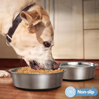 Stainless Steel Dog Bowls Set of 2, Anti Rust Metal & Non Slip Rubber Base, Heavy Duty Large Feeding Dishes, Food Grade BPA Free, Food and Water Bowl for Large Dogs (88oz, 11cup)