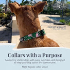 Lucky Love Dog Martingale Dog Collar - Adjustable, No-Slip, Comfortable, Durable, Soft Webbing & Stylish Patterned Collar for Male and Female Dogs Ideal for Training & Walking - Laguna, Small