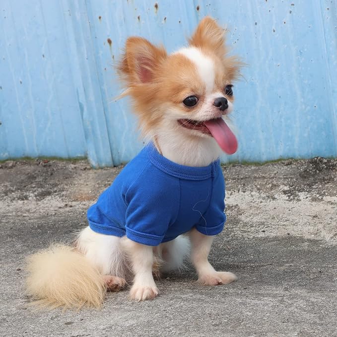 LOPHIPETS 100% Cotton Dog Tee Shirt for Small Dogs Chihuahua Puppy Clothes-Blue/L