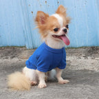 LOPHIPETS 100% Cotton Dog Tee Shirt for Small Dogs Teacup Chihuahua Yorkie Puppy Clothes-Blue/S