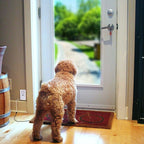 Ideal Security Pressure Floor Mat Home Alarm System – Wired Alarm & Chime, Anti-Wandering, Welcome Mat, Pet Door Mat