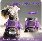 Eagloo Small Dog Harness and Leash Set, Step in Puppy Vest with Breathable Soft Mesh, Walking Reflective Pet Harness for Small Dogs, Purple, XXS