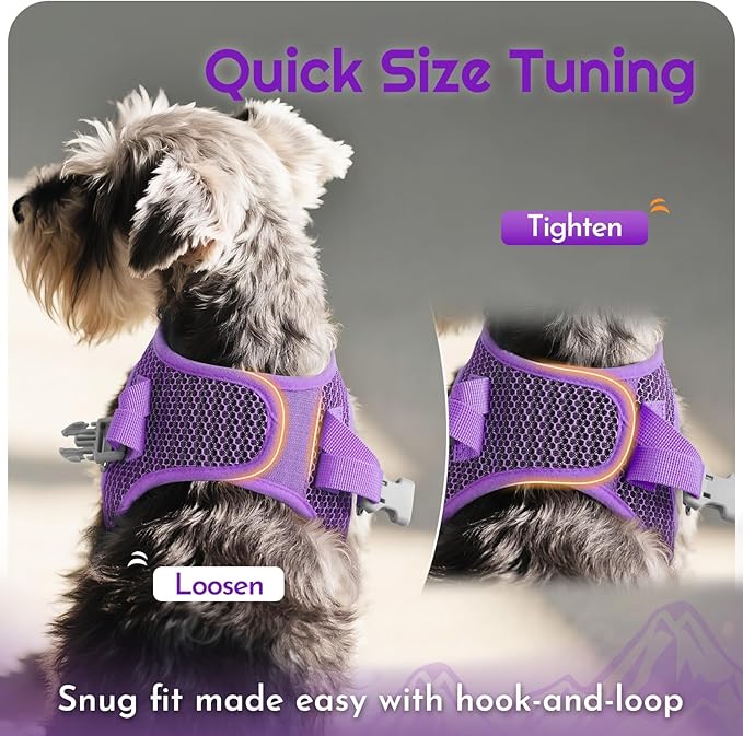Eagloo Small Dog Harness and Leash Set, Step in Puppy Vest with Breathable Soft Mesh, Walking Reflective Pet Harness for Small Dogs, Purple, M