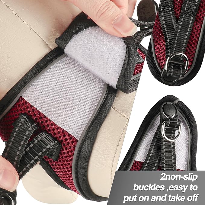 Dog Harness for Small Dogs and Leash Set, Honeycomb Grid, Reflective Lightweight Harness & Anti-Twist Pet Lead Multi Color, Size: XS-S-M. (M, Deep Purple)