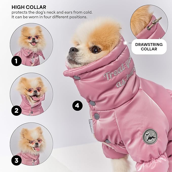 Winter Dog Coat for Female Pups with Full Belly Coverage, Girl Dog Clothes, Snow Jacket for Dogs, Snowsuit, Winter Coat for Dogs for Cold Weather, Ideal for Small Medium Dogs (Medium)