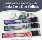 Lucky Love Dog Wide Dog Collar - Adjustable, Durable, Soft Webbing, & Comfortable 1.5 inch Wide Collar with Strong Buckle for Dogs Male and Female with Strong Buckle - Rosie, Medium