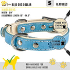 ADITYNA Heavy-Duty Leather Dog Collar for Small Dogs - Soft Padded for Comfort - Blue Dog Collar for Walking, Training, and Hiking