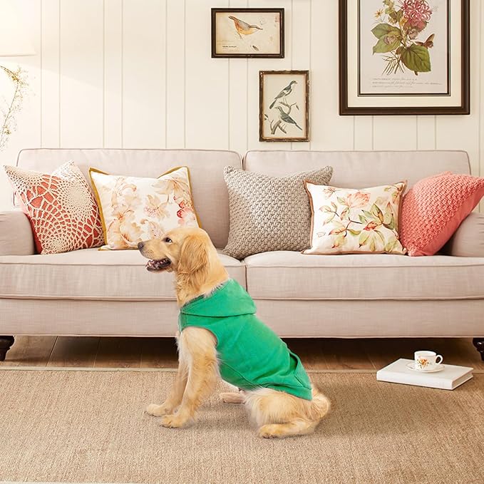 EXPAWLORER Dog Hoodie Fleece Sweater Vest, Hooded Dog Sweatshirt Fall Winter Pet Clothes with Leash Ring, Sleeveless Warm Cozy Puppy Clothing for Cat Small Medium Large Dogs Girl Boy, Green S