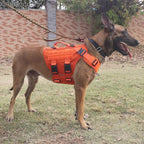 ICEFANG GN3 Tactical Dog Harness with 6X Buckle,Dog Molle Vest with Handle,3/4 Body, Hook and Loop Panel for ID Patch,No Pulling Front Clip (XL (Neck 19"-29"; Chest 31"-40"), Safety Orange)