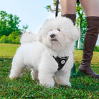 Hipubby Dog Harness and Leash Set, No Pull Soft Mesh Puppy Harness for Small Medium Dogs, Cats - Step in Reflective Breathable Lightweight Vest Harness for Walking, Training - Black, L