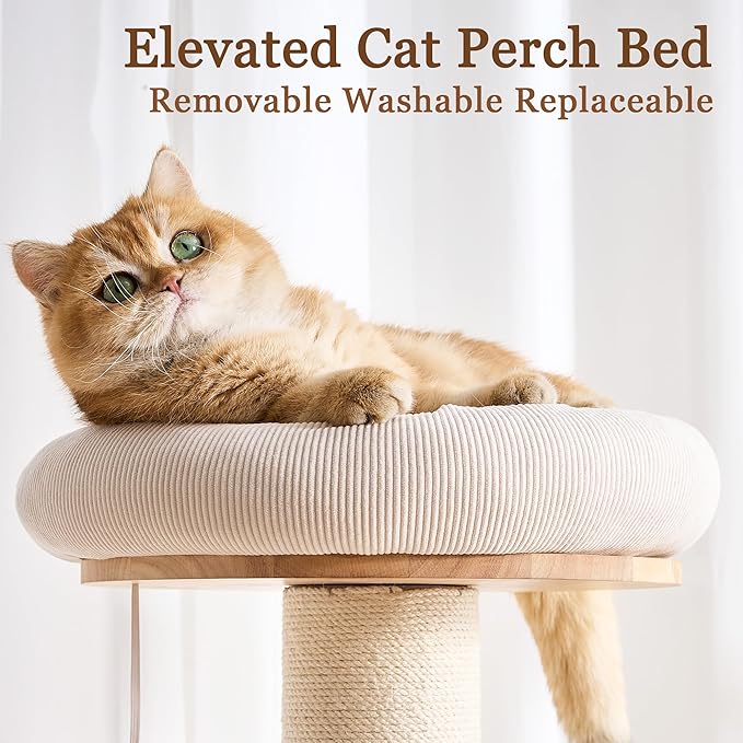 Modern Cat Tree Tower with Scratching Post for Indoor Cats Large Adult, 60 inch Tall Solid Wood Multifunctional Cat Tree Tower with Bed, Space Capsule, Sisal Wrapped Condo, Multiple Cats Use