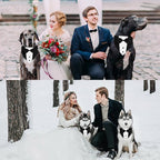 Dog Tuxedo Suit Wedding Bandana Collar with Bow Tie, Adjustable Formal Dog Tux, Engagement Birthday Tuxedo for Small Medium Large Dogs Pets (Small: Neck 12.5”-21”)