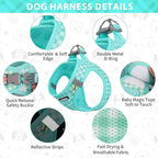 AIITLE Adjustable Dog Harness and Leash Set, Step in No Pull Pet Harness, Soft Mesh Reflective Plaid Vest Harnesses for Small Dogs Puppy and House Cats Outdoor Walking Running Turquoise XS