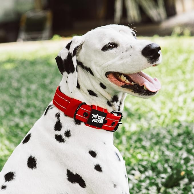 Tuff Pupper Heavy Duty Tactical Dog Collar | 1.5" Wide Ballistic Nylon | Reflective Stitching | Integrated ID Tag Holder | Stainless Steel Buckle | Padded Lining | Medium & Large Dogs (Red, Large)