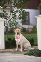 Elegant Little Tail Bandana for Boy Girl Small Medium Large Dogs, Comfortable Bibs Scarf, Adjustable Square Kerchief