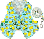 BAEJMJK Dog Harness and Leash Set with Bow Knot No Pull Pet Daisy Floral Harness with D-Ring Soft Mesh Dog Harness Vest Set Escape Proof Princess Puppy Harness for Small Girl Dogs Cats（Green S）