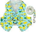 BAEJMJK Dog Harness and Leash Set with Bow Knot No Pull Pet Daisy Floral Harness with D-Ring Soft Mesh Dog Harness Vest Set Escape Proof Princess Puppy Harness for Small Girl Dogs Cats（Green M）