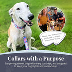 Lucky Love Dog - Adjustable Dog Collar with Easy Click Buckle for Large Dogs, Durable, & Comfortable Collar for Male & Female Dogs, Pet Collar for Puppies & Adult Dogs - Zuzu, Large