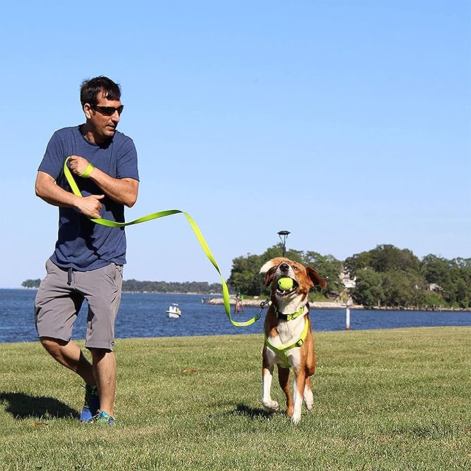 Pawtitas Solid Step-in Dog Harness – Adjustable No-Pull Vest for Puppies to Seniors, Safe & Comfortable XS Lush Green