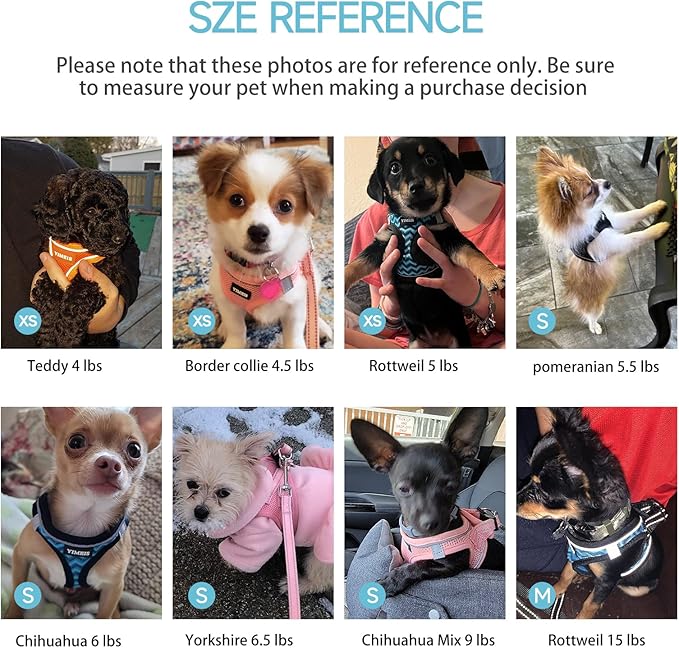 Dog Harness for Small Dogs and Leash Set, Honeycomb Grid, Reflective Lightweight Harness & Anti-Twist Pet Lead Multi Color, Size: XS-S-M. (S, Sky Blue)