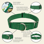 Country Brook Petz - Martingale Dog Collar - Heavy-Duty Training Collar with No Buckle - Service Dog Collar for All Pups - 10+ Cool Colors (Christmas Green, 5/8 Inch, Extra Small)