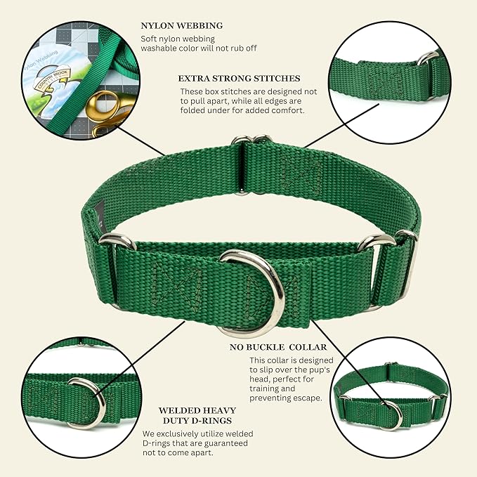 Country Brook Petz - Martingale Dog Collar - Heavy-Duty Training Collar with No Buckle - Service Dog Collar for All Pups - 10+ Cool Colors (Christmas Green, 5/8 Inch, Extra Small)