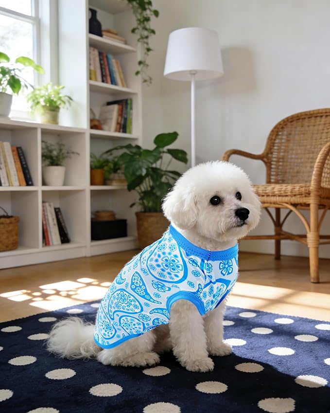 PET SHOW 4 Pack Summer Dog Shirts for Extra Small Doggies Boy UPF 50+ UV Sun Protection Cooling Clothes Tank Top Shark Puppy Kitten Cats T-Shirts Pet Holiday Party Sleeveless Vest Blue(X-Small)