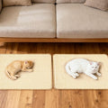 Paceray Cat Scratching Mat, 2 Pack Natural Sisal Scratching Pad for Indoor Cats, Perfect Wall Scratchers with Tape for Couch, Sofa and Carpet Protection (23.6" x 15.7")