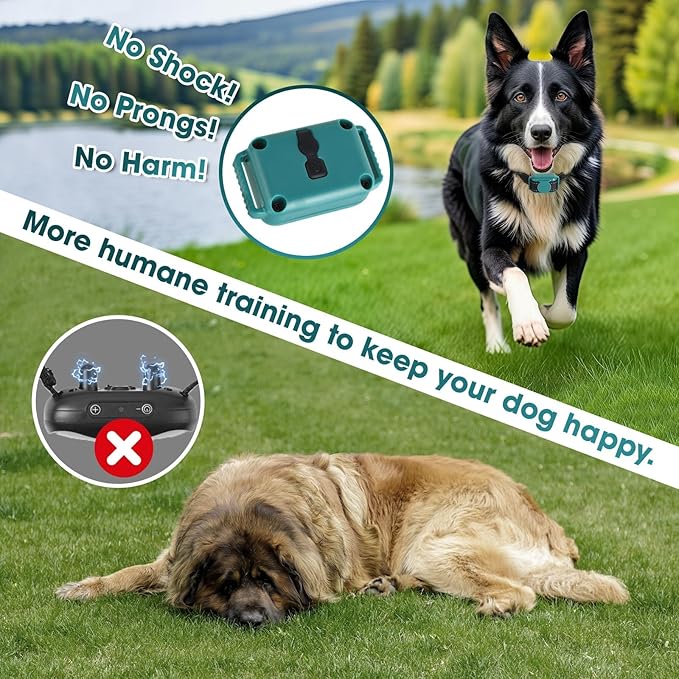Smallest No Shock Dog Training Collar for Small Dogs 5-15lbs, Lightest Dog Vibration Collar with Controller 2000FT, Beep and Vibrate Only, Safety Lock,No Prongs,Cyan