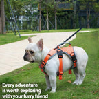 Huntboo Escape Proof Dog Harness, Escape Artist Harness, Reflective Dog Harness with Handle, Durable,Adjustable Vest for Small Medium Large Dogs Walking, Training,and Running Gear(Orange,XL)