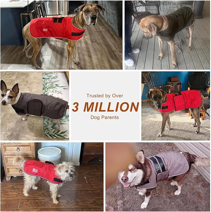 BEAUTYZOO Dog Winter Coat for Large Dogs Waterproof, Warm Reflective Great Dane Oxford Canvas Jacket, Fleece Dog Cold Weather Coats Windproof for Female Male Dogs, Rose Pink L