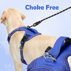 Funfox Dog Harness Medium No Pull, Adjustable 2 Clips Anti-Pull Vest with Practical Handle, Breathable Padded Pet Harness Designed for Small/Large Breeds, Reflective Training Walking Blue M