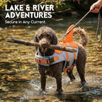 ASENKU Dog Life Jacket - Pet Safety Vest for Swimming & Boating, Shark Life Jacket with Floatation, Dog Lifesavers Swimsuits for Small Medium Large Dogs (Orange, XS)