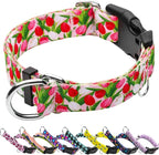 Martingale Collar for Dogs with Buckle Floral No Pull Adjustable Nylon Limited Slip Training Dog Collars (Pink Tulip, Small)
