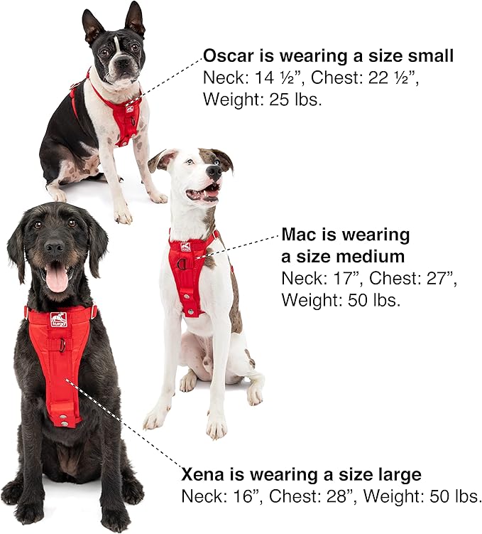 Kurgo Enhanced Strength Tru-Fit Dog Car Harness - Pet Travel Safety Harness - Crash Test Certified Fit - Five Point Adjustment - Secure Buckle - Padded Chest - Charcoal - X-Small