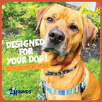 2 Hounds Design - Freedom No-Pull Harness & Training Leash in Blue and Green | Dual Leash Loops, No Pulling on Walks | Lined to Prevent Chaffing | for Large Sized Dogs (Size M, Chest 24”- 28”)