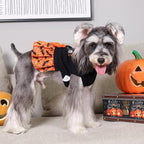 CuteBone Halloween Dog Sweater Dress for Medium Dogs Girl, Happy Halloween Embroidery Turtleneck Small Dog Sweater with Bowtie, Pet Clothing for Chihuahua Yorkie Teacup DS107S