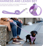 AIITLE Adjustable Dog Vest Harness Set – No-Pull Design, Plaid Print & Reflective Safety– Fits Poodles, Shih Tzus & Medium-Sized Dogs up to 38lbs (M, Purple)